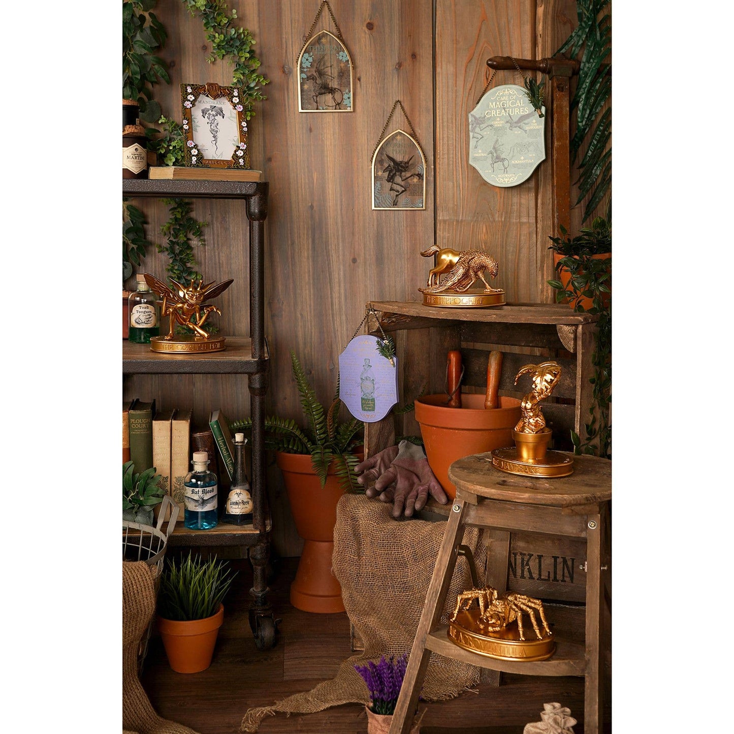 Harry Potter - Herbology Frame