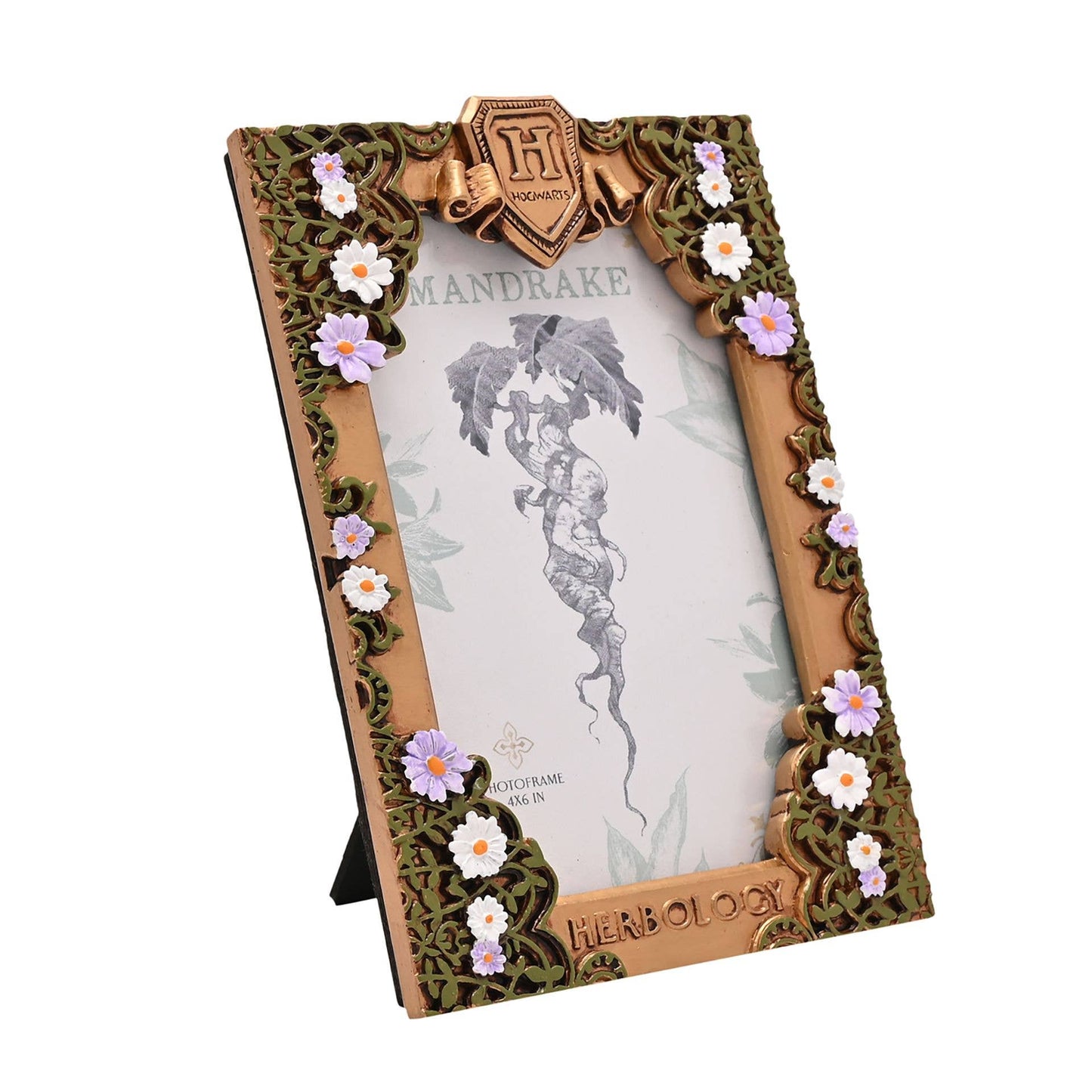 Harry Potter - Herbology Frame