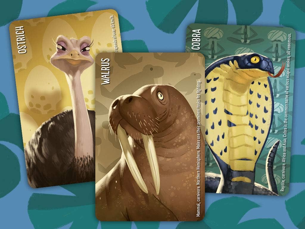 đŸ Similo: Wild Animals â The Cooperative Animal Deduction Game