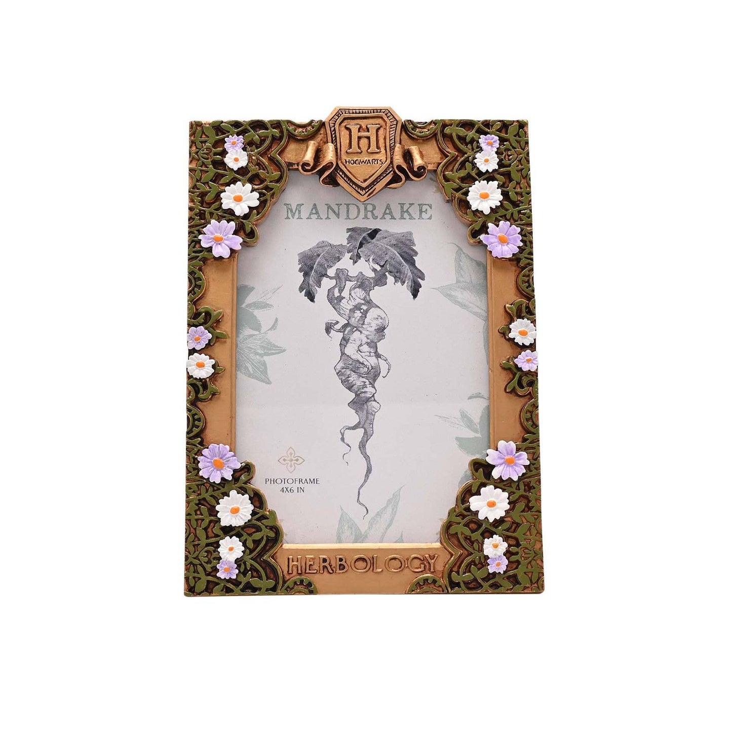 Harry Potter - Herbology Frame