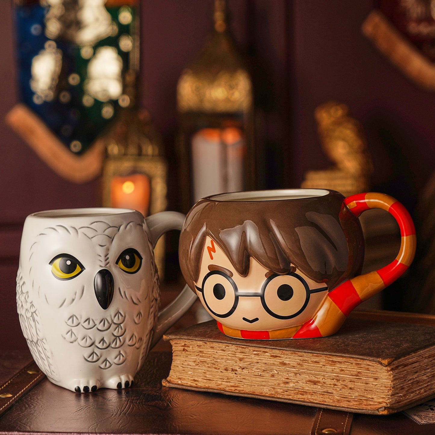 Harry Potter Back to Hogwarts 3D Mug - Harry Design