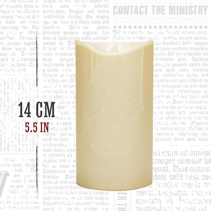 Harry Potter LED-ljus med Trollstavsfjärrkontroll – Hogwarts Emblem