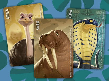 🐾 Similo: Wild Animals — The Cooperative Animal Deduction Game