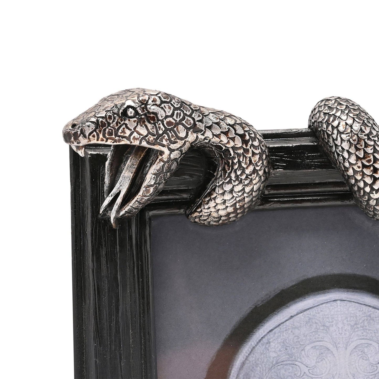 Harry Potter – Dark Arts Fotoram (Nagini)
